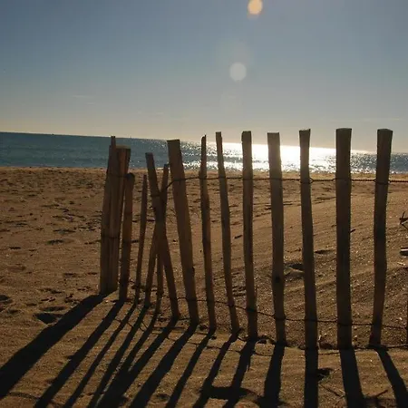 Coco - Le Mar Estang
