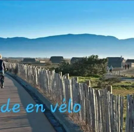 Coco - Le Mar Estang *
