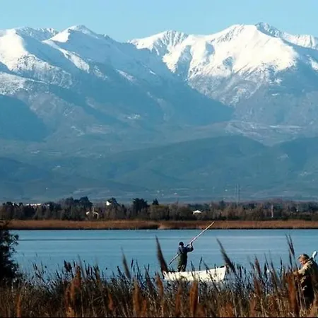 Coco - Le Mar Estang Campsite Canet-en-Roussillon